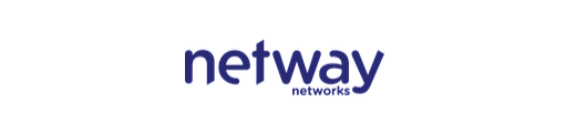 netway networks brand logo